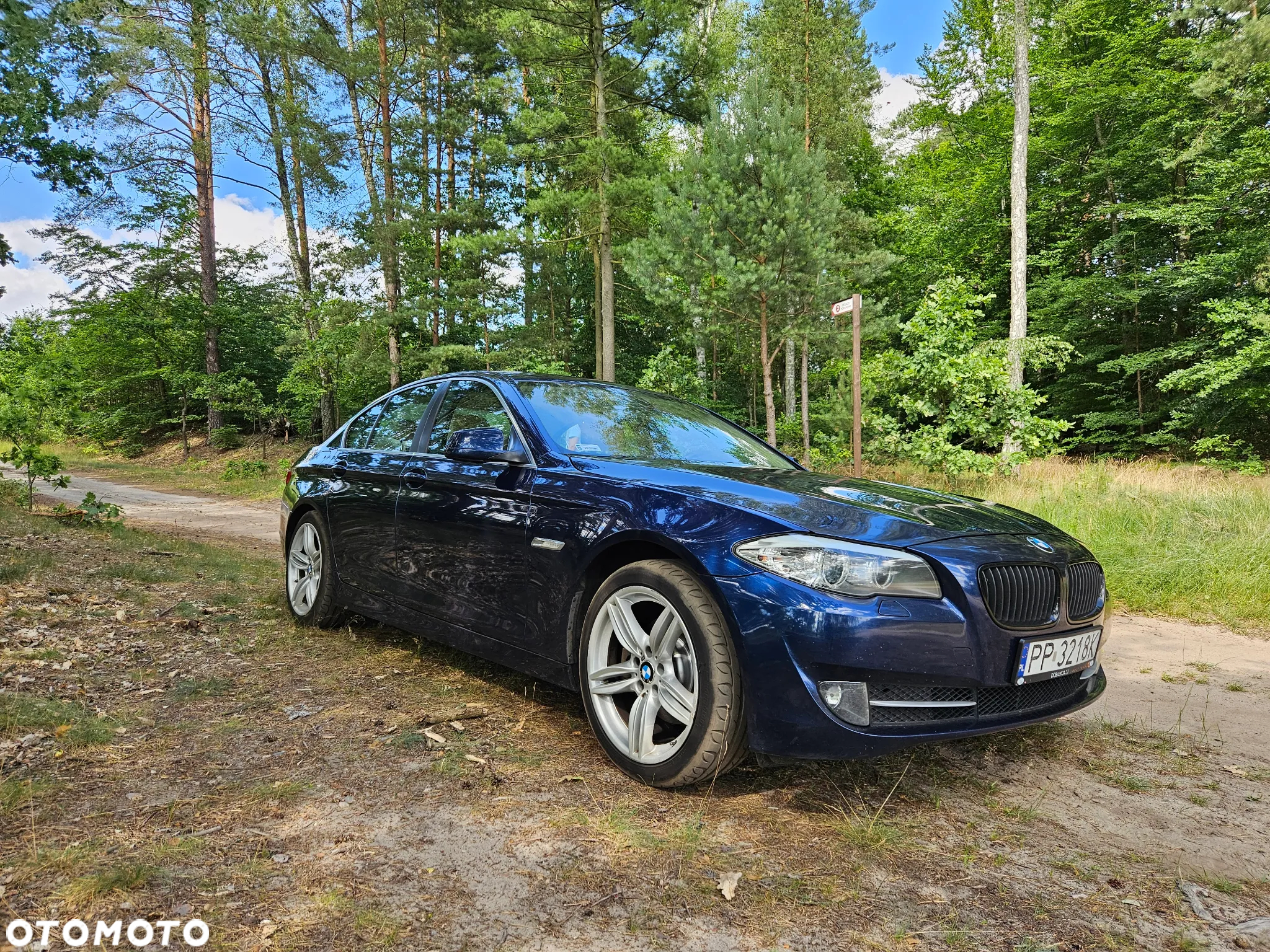 BMW Seria 5 520d - 6