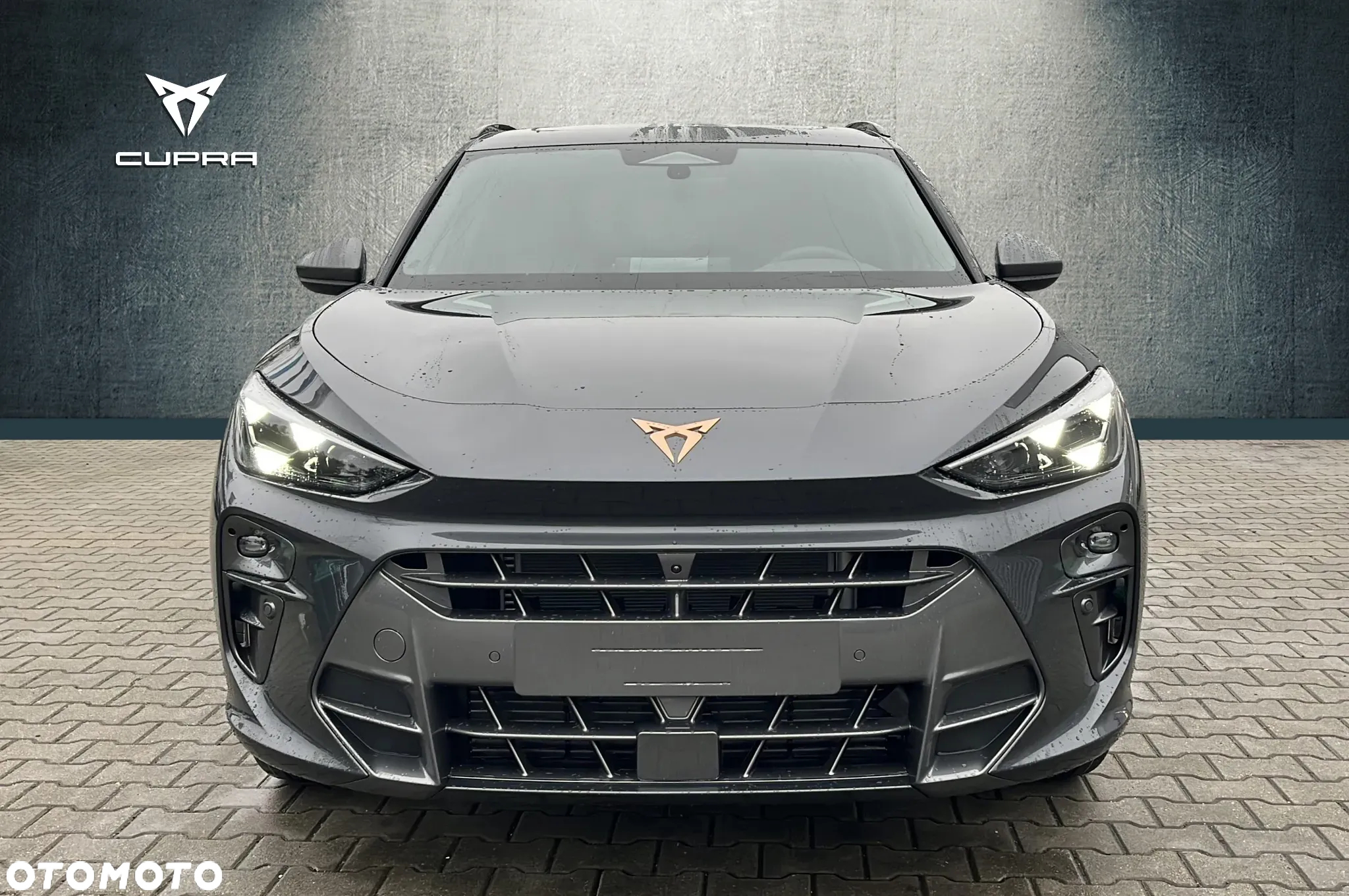 Cupra Terramar 2.0 TSI 4Drive DSG - 7
