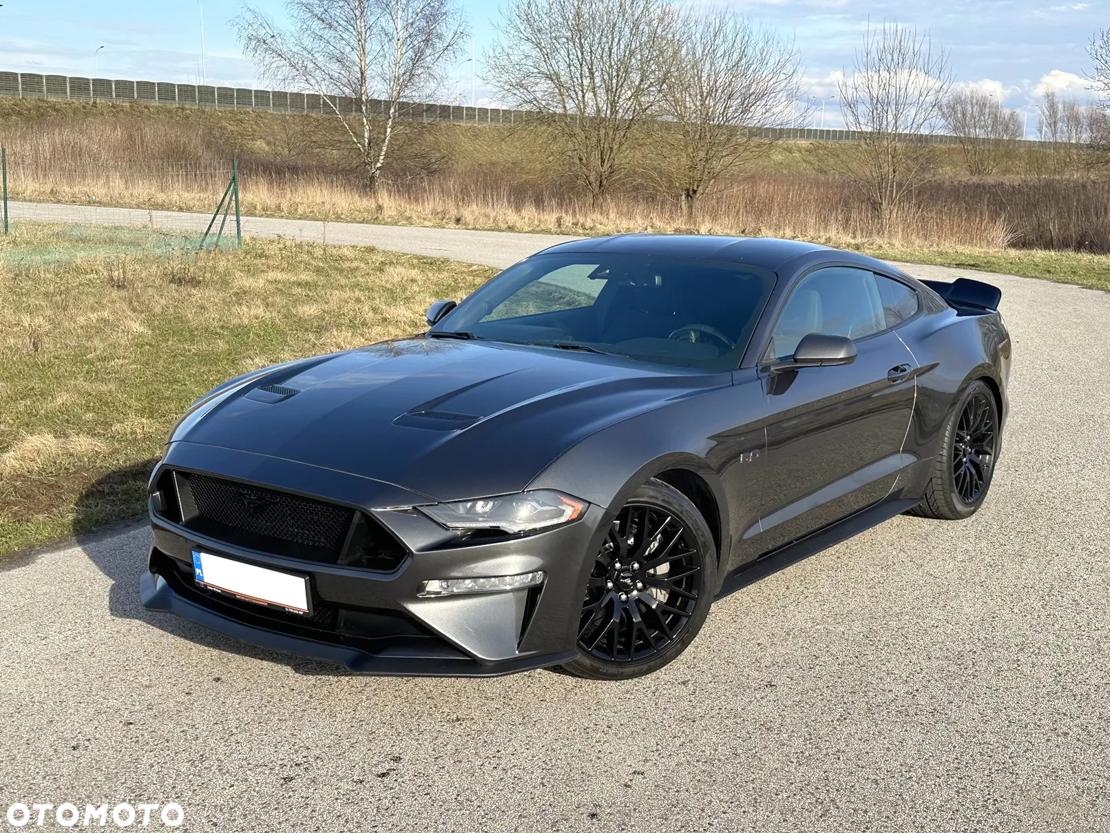 Ford Mustang - 3