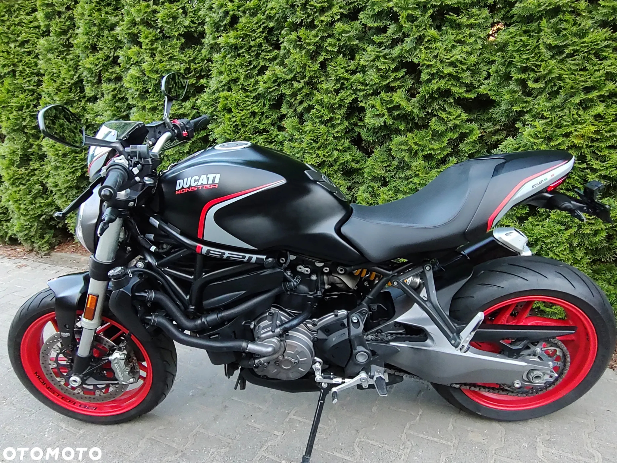 Ducati Monster - 17