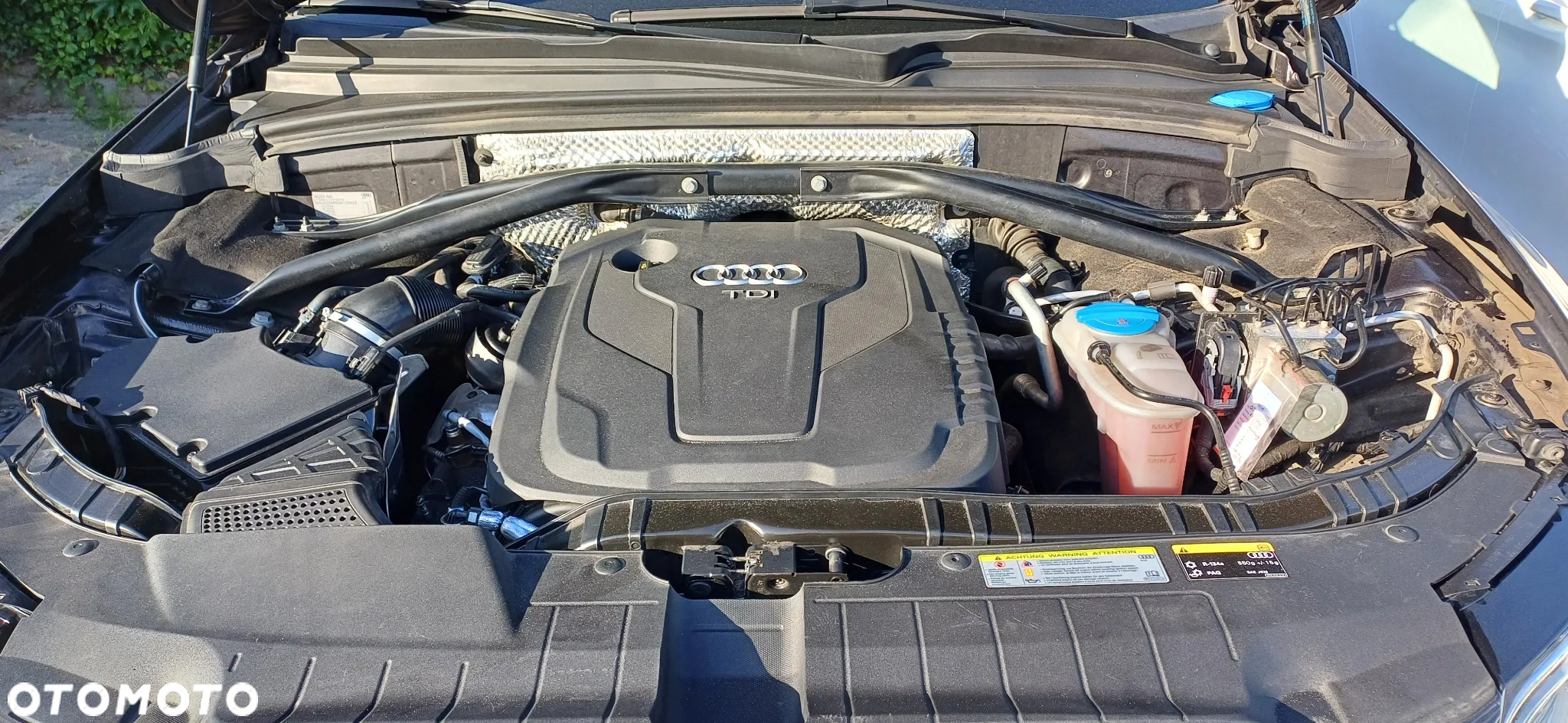 Audi Q5 - 32