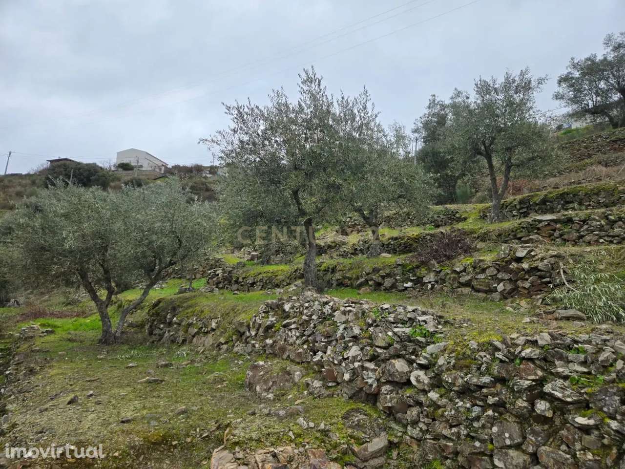 Refúgio Único no Coração do Douro - Grande imagem: 5/6