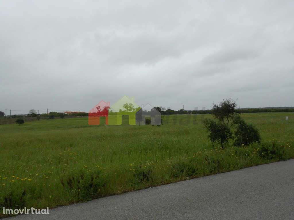 Terreno Urbano - Grande imagem: 4/8