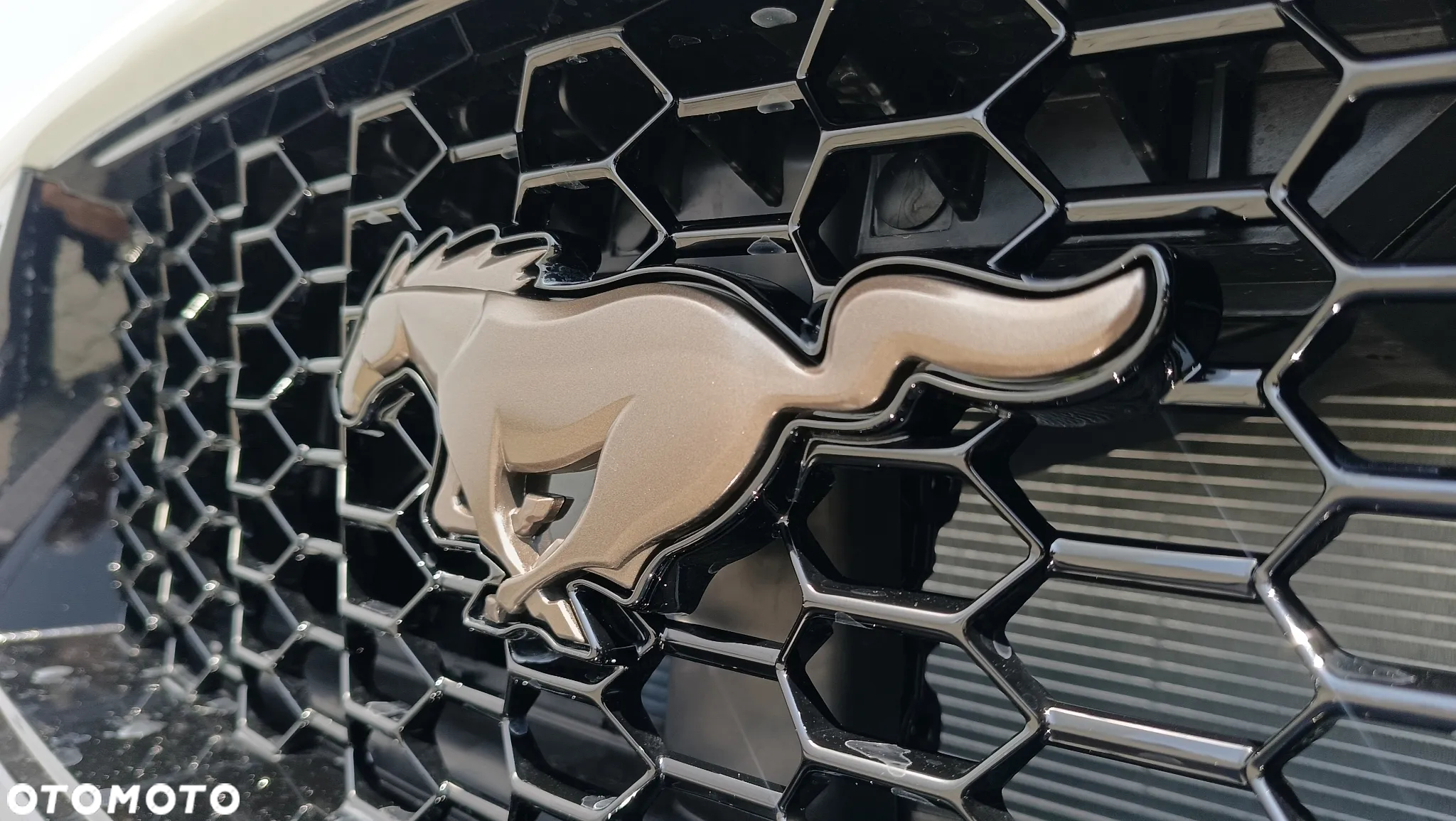 Ford Mustang 5.0 Ti-VCT V8 GT - 29