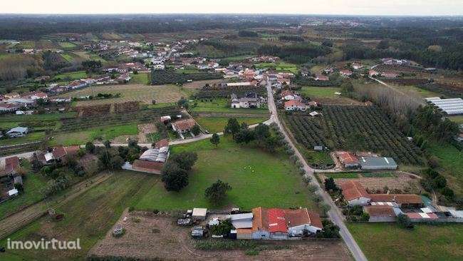 Terreno para construção de moradias em Anadia - Grande imagem: 4/12