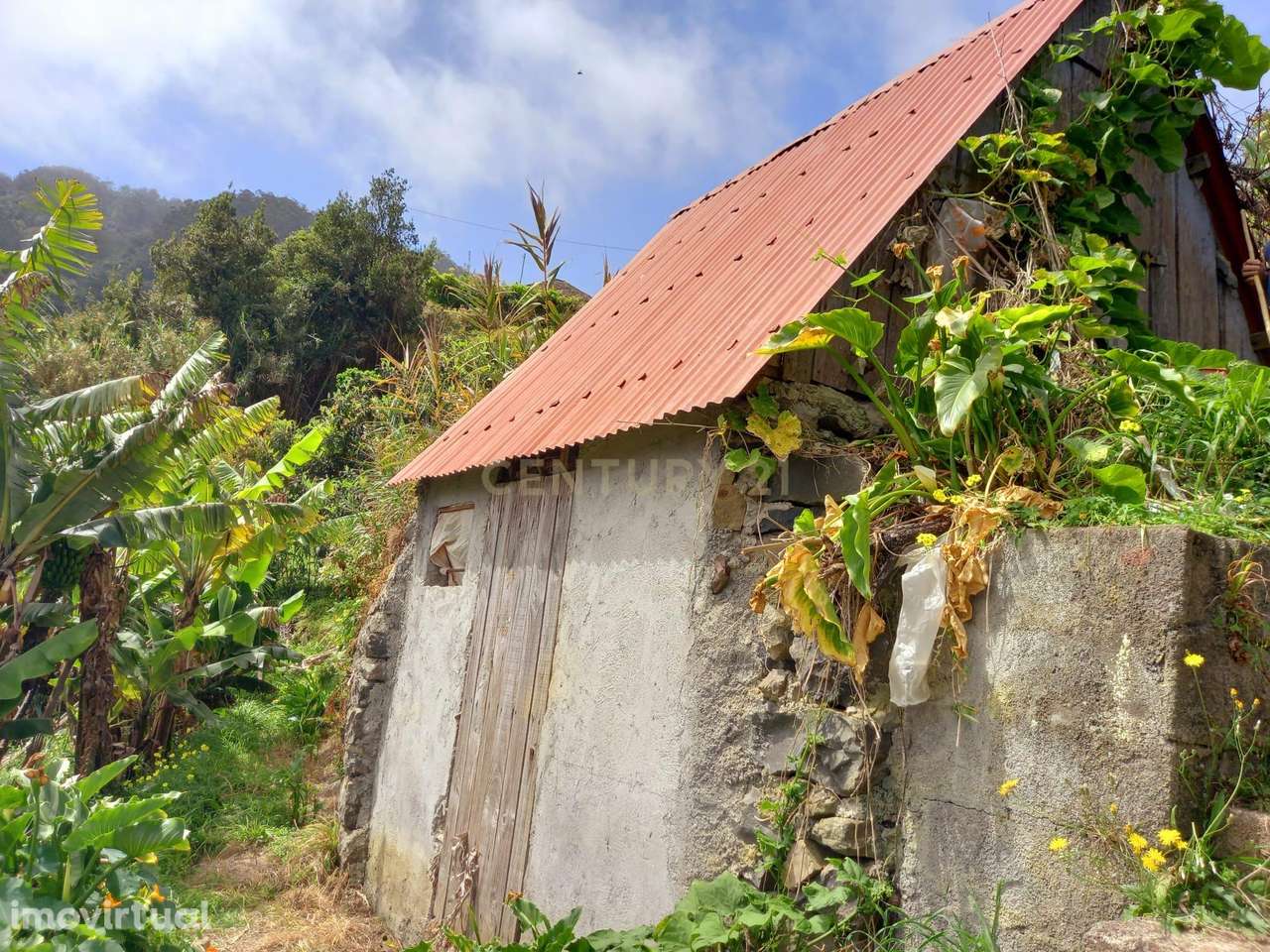 Terreno agrícola - Porto da Cruz - Machico - Grande imagem: 2/11