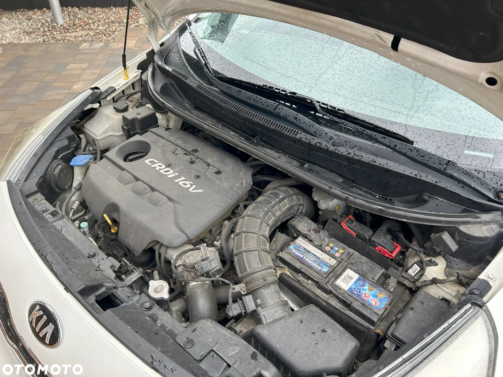 Kia Rio 1.4 crdi XL - 16