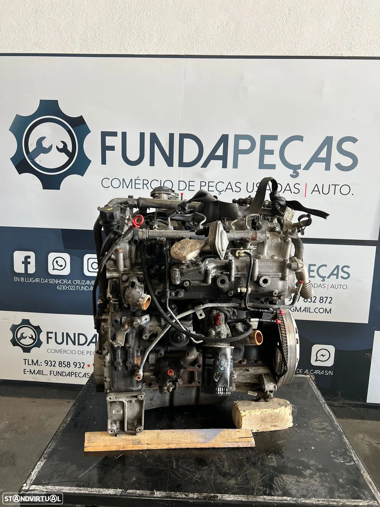 Motor 3.0 Fiat/IVECO/PSA Ref: F1CE3481E - 1