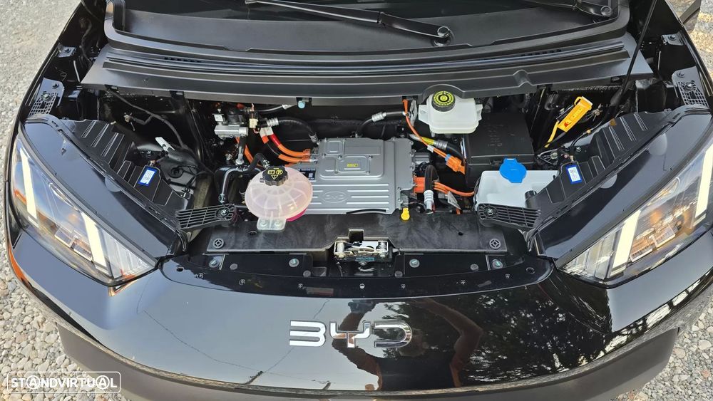 BYD Dolphin Surf 30 kWh Active - 24