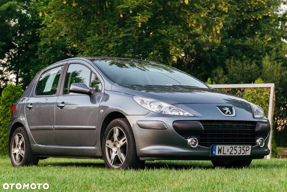 Peugeot 307 1.4 Oxygene - 7
