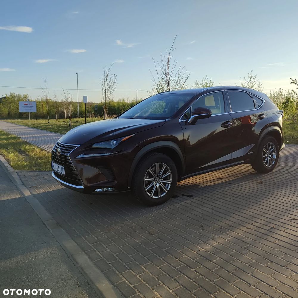 Lexus NX 300h Elegance Optimum AWD - 3