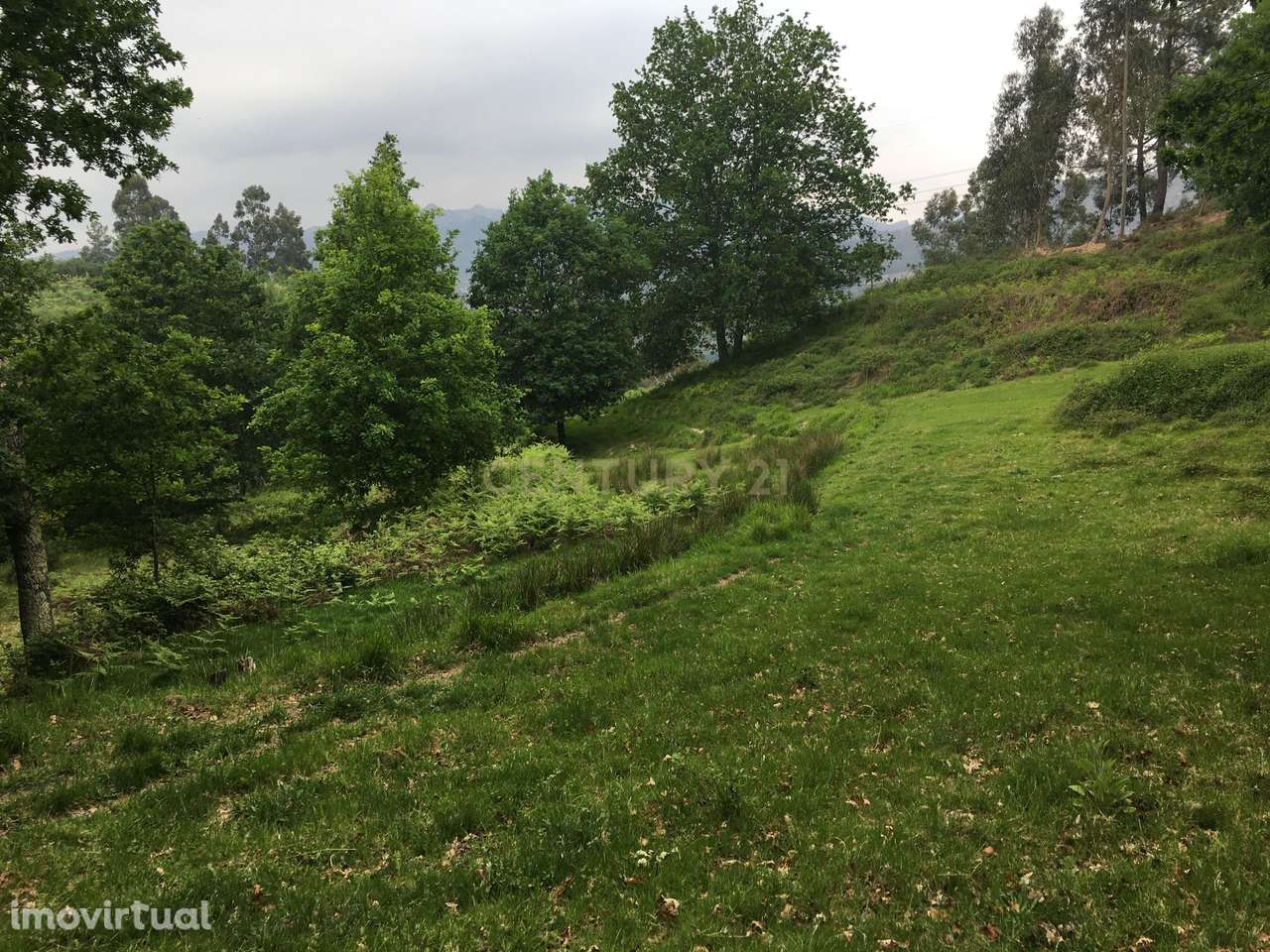 Quinta com 23.000m² à Venda no Gerês para Construção de Moradia ou Pro - Grande imagem: 3/23