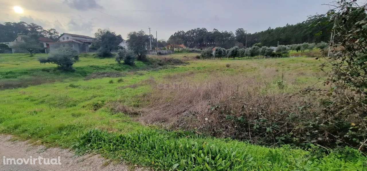 Terreno para construção á venda - Albergaria dos doze - Grande imagem: 2/20