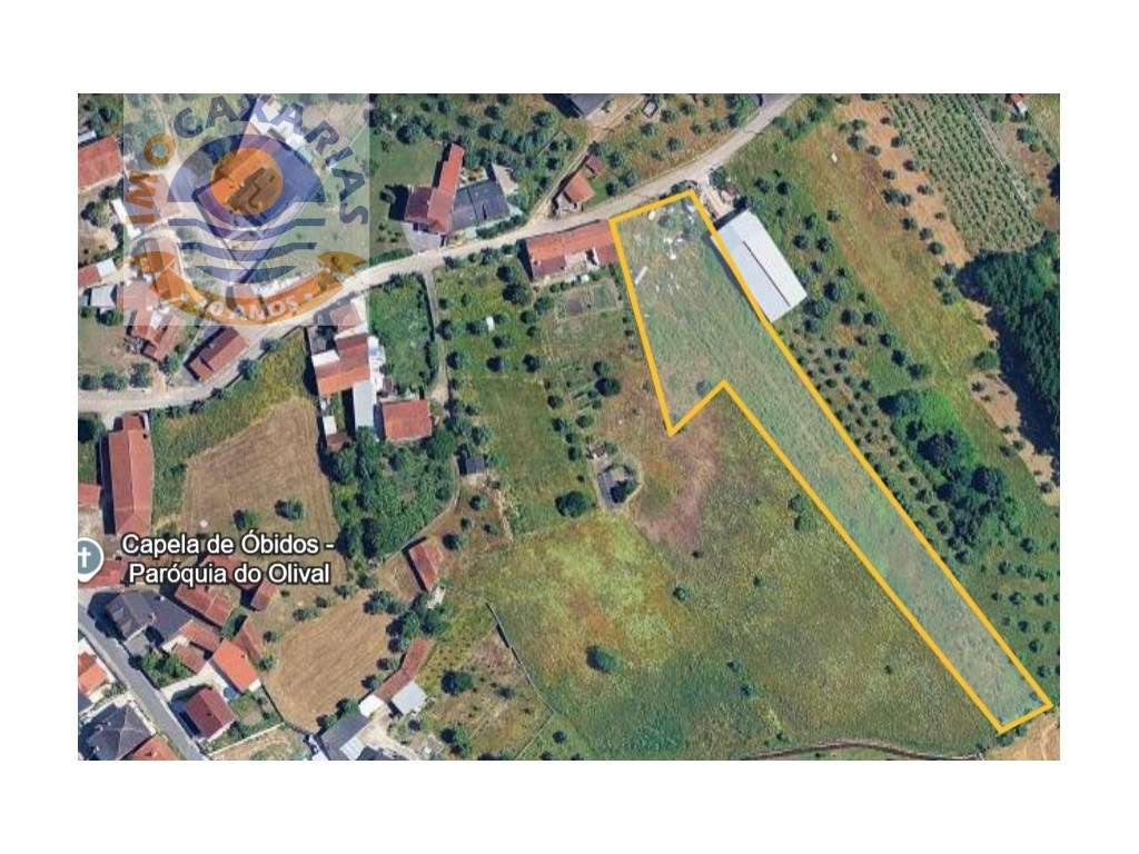 Terreno Venda Ourém - Grande imagem: 2/10
