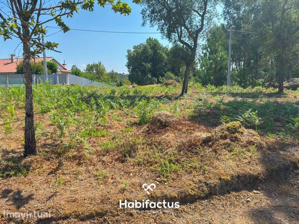 Terreno com a área de 7330m2 - Tondela - Grande imagem: 5/9