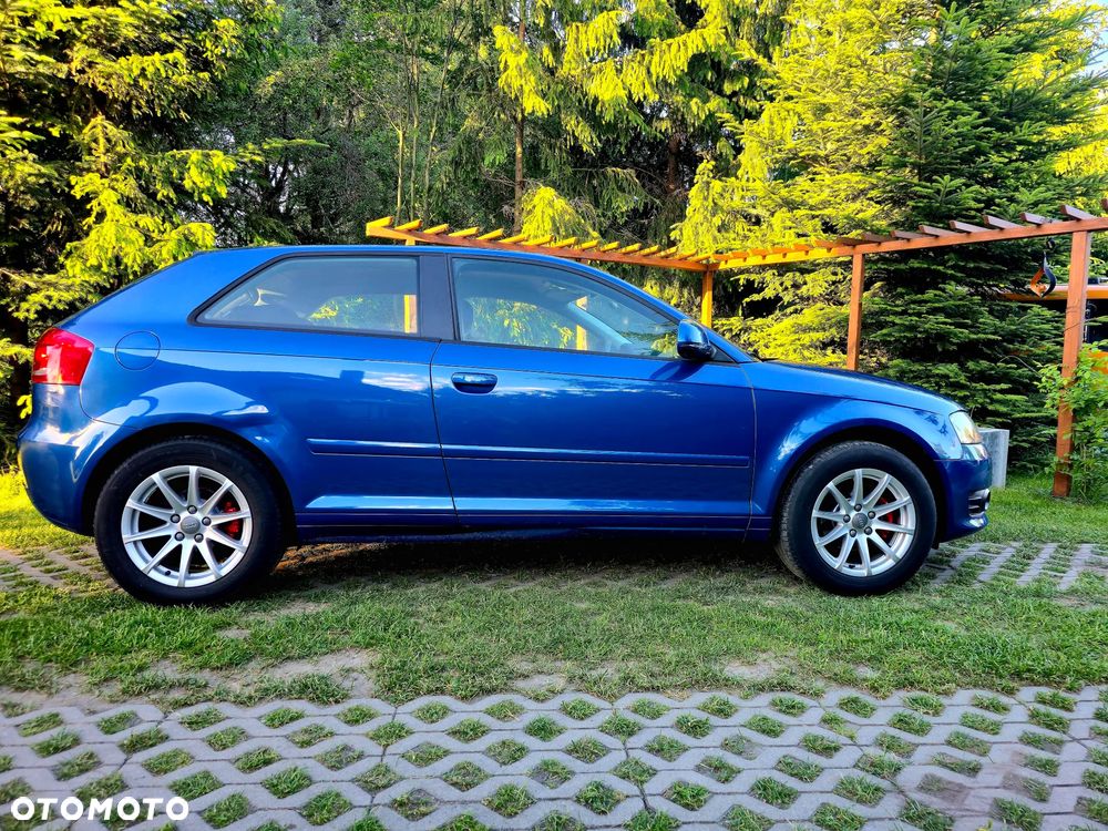 Audi A3 3-drzwiowe 1.6 FSI Ambition - 3