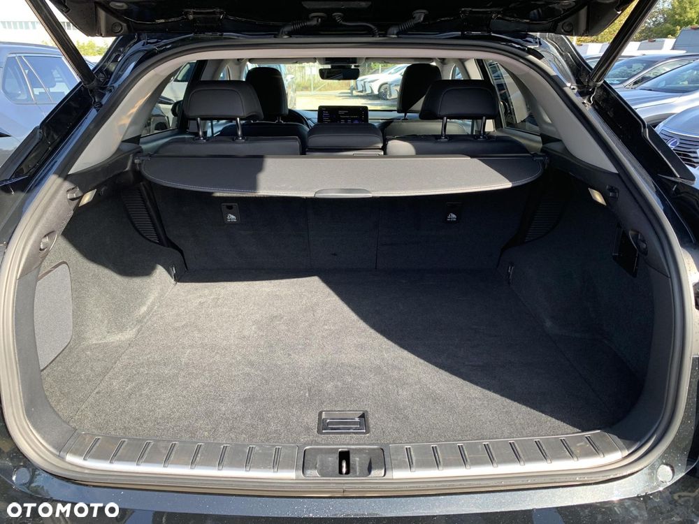Lexus RX 450h F-Impression - 24