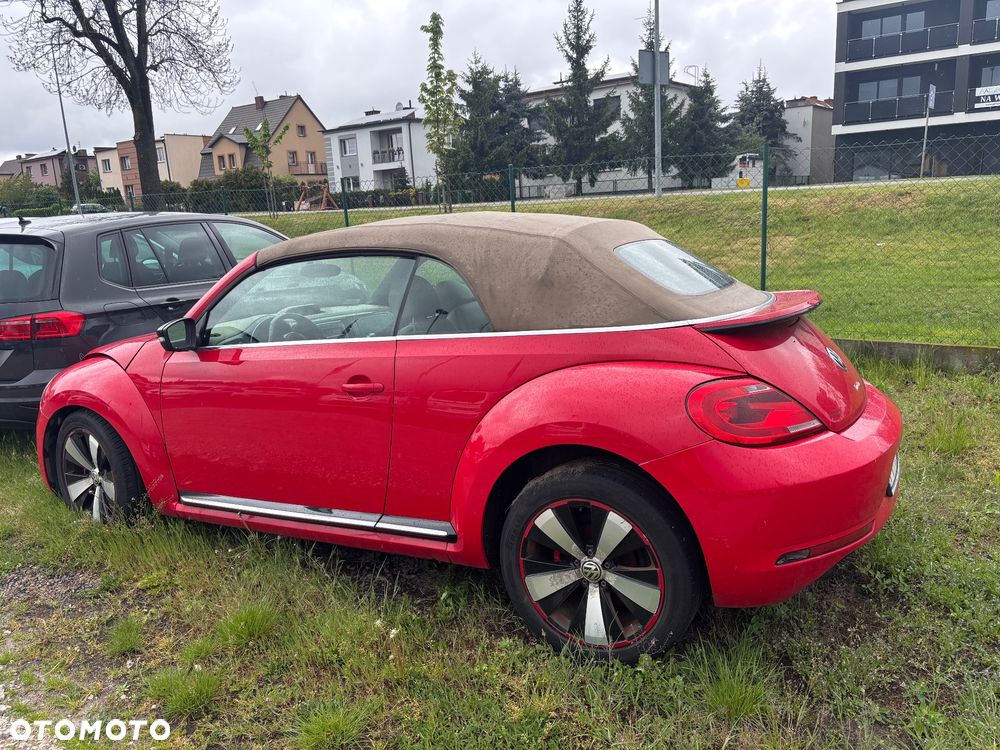 Volkswagen Beetle - 3
