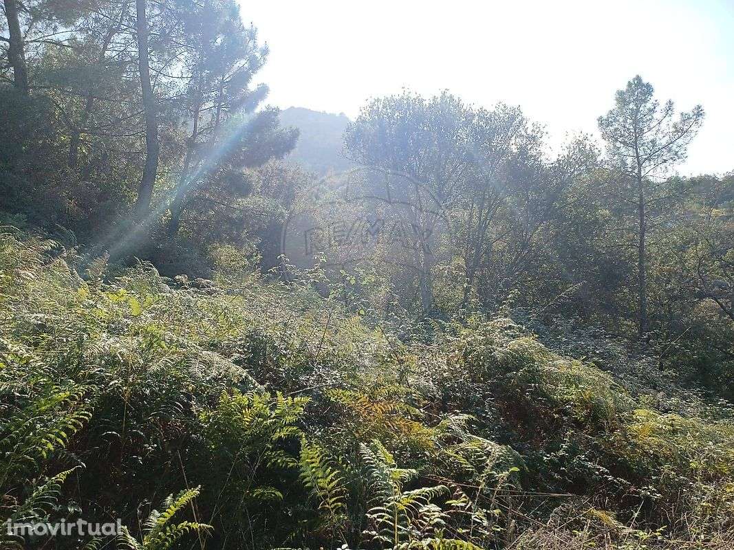 Terreno  para venda - Grande imagem: 3/9