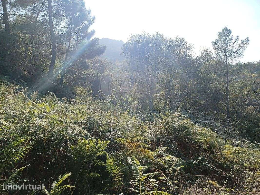 Terreno  para venda - Grande imagem: 3/9