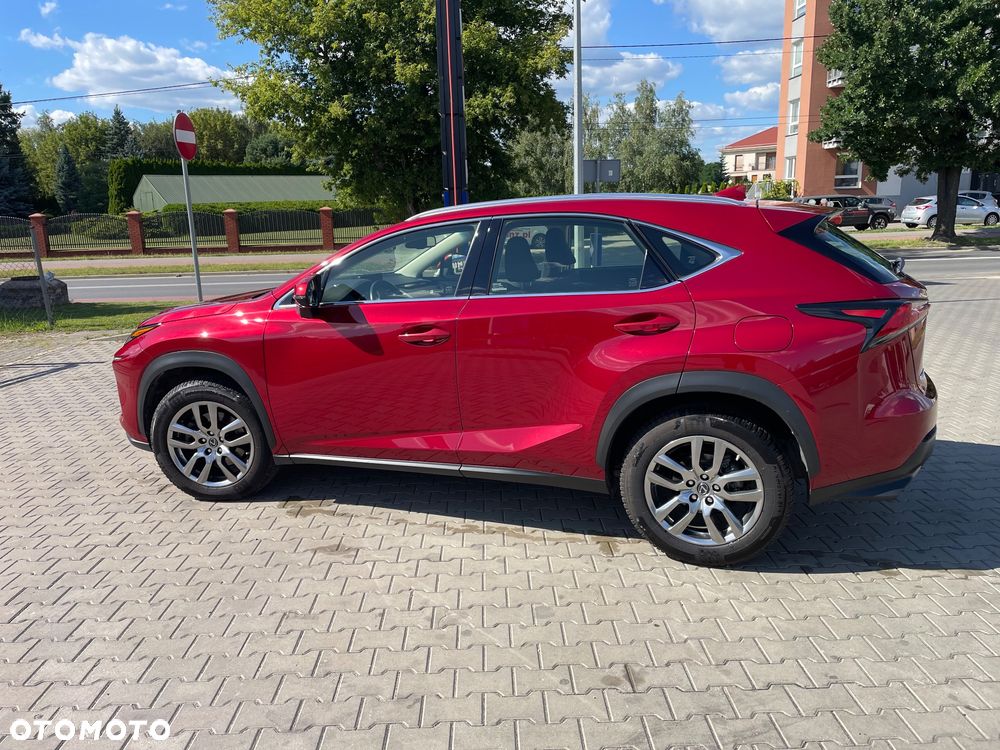 Lexus NX 300 Business Edition AWD - 5