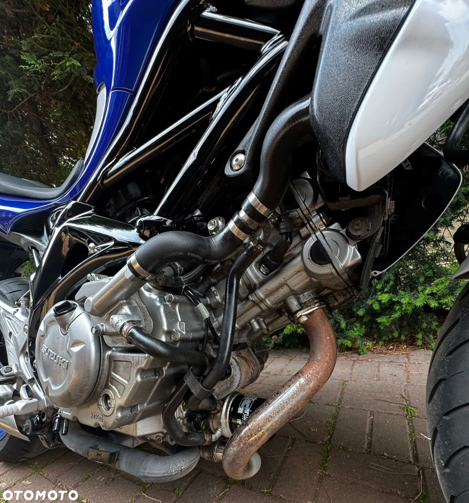 Suzuki Gladius - 5