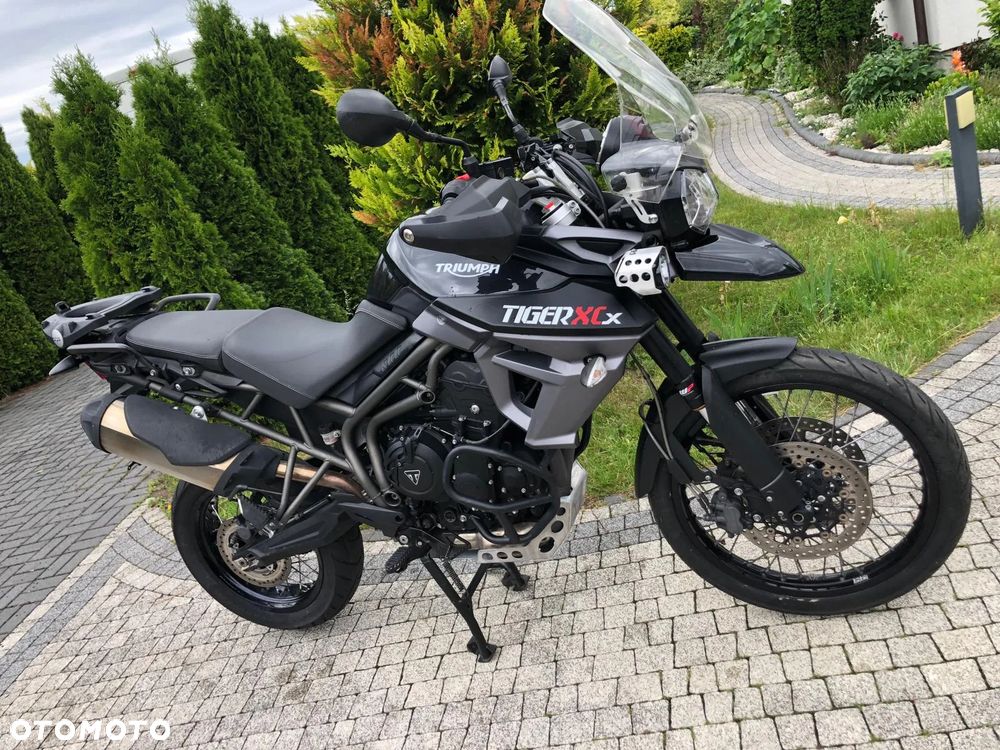 Triumph Tiger - 2