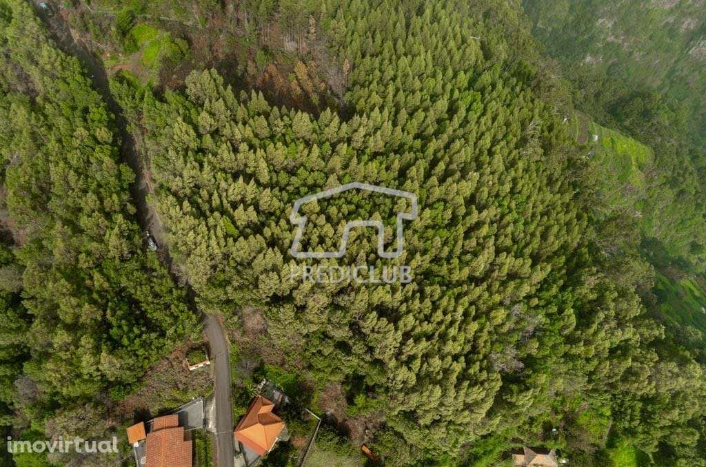 Terreno - Sta Cruz - Grande imagem: 4/9