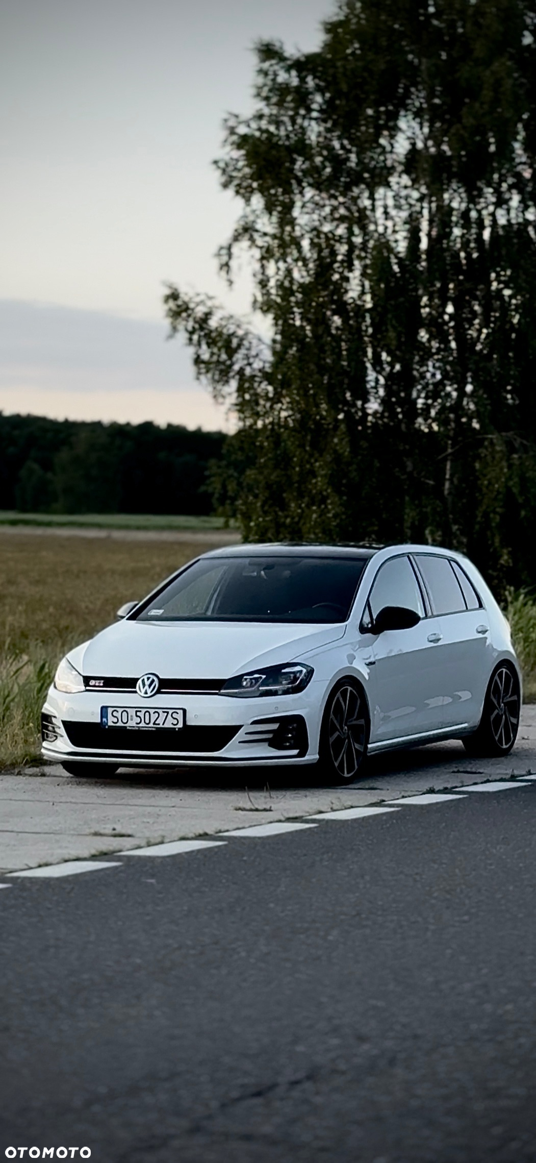Volkswagen Golf VII 2.0 TSI BMT GTI Performance DSG - 6