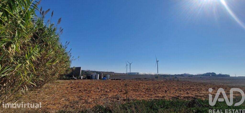 Terreno Agrícola em Santo Isidoro - Grande imagem: 4/16