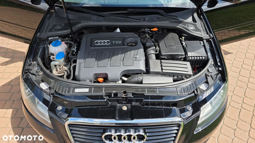 Audi A3 3-drzwiowe 1.6 TDI DPF Attraction - 25