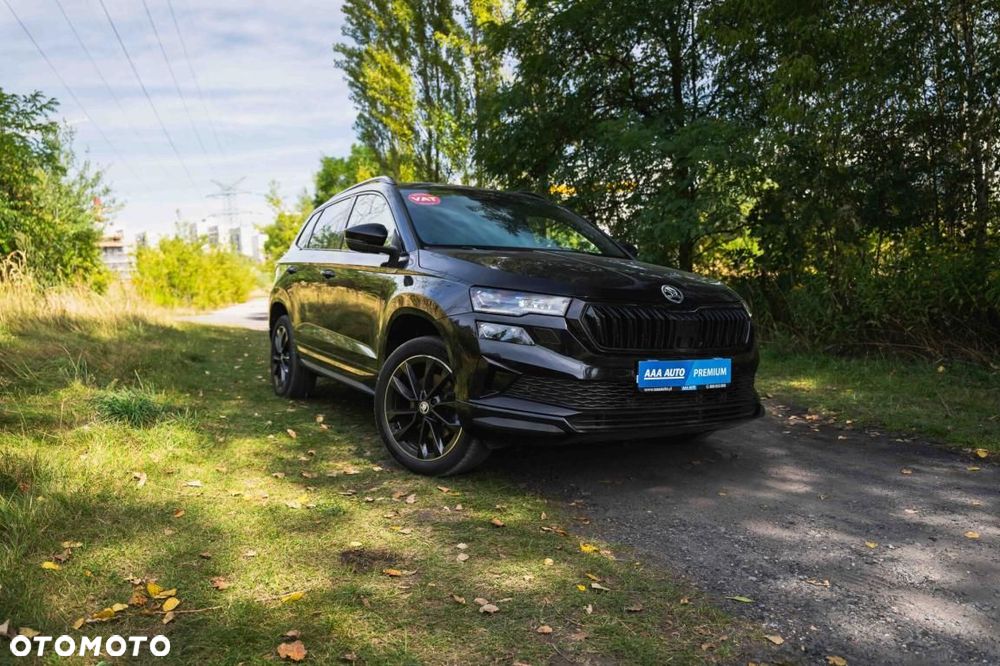 Skoda Karoq - 3