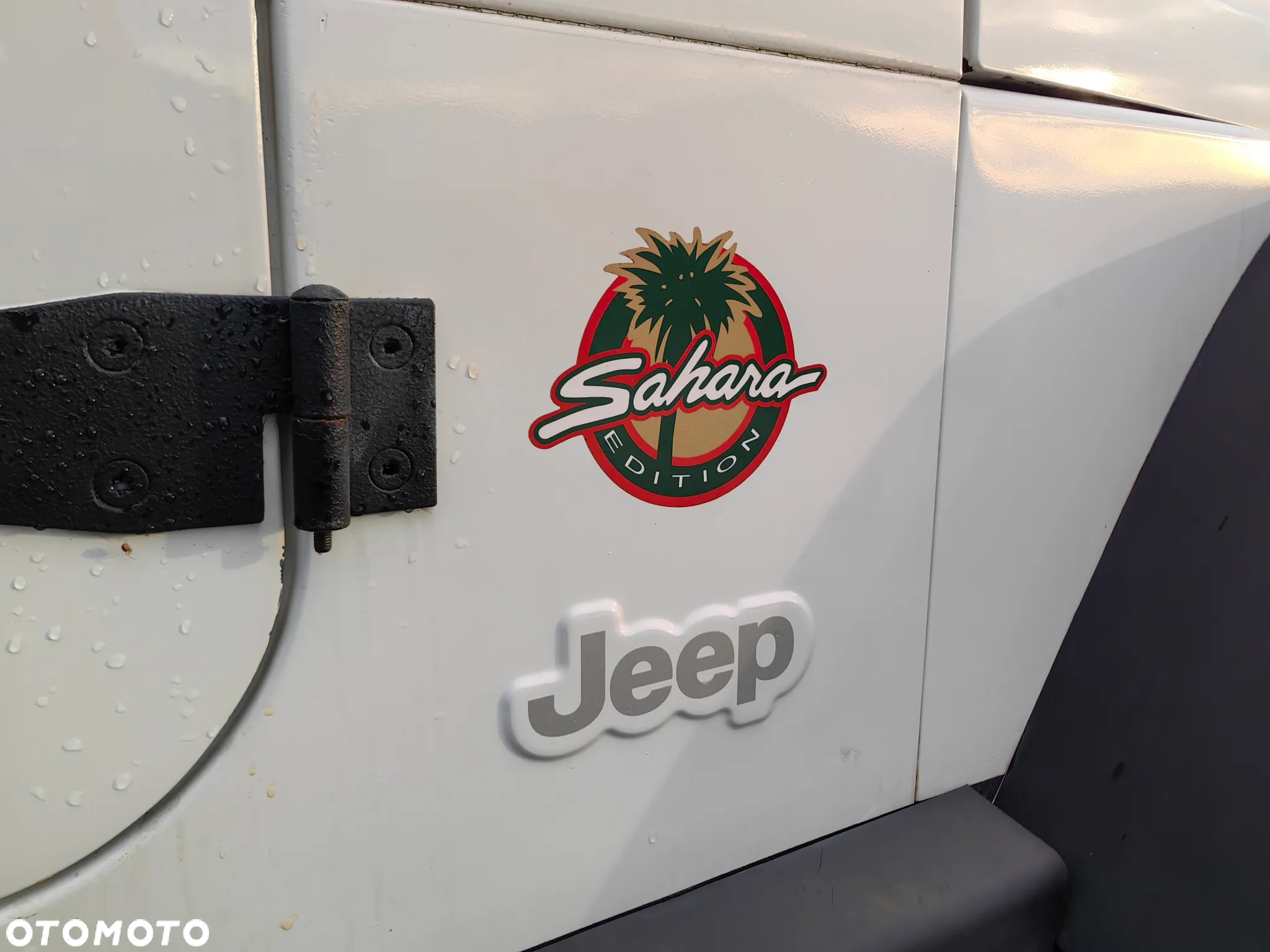 Jeep Wrangler 4.0 Automatik Sahara - 25