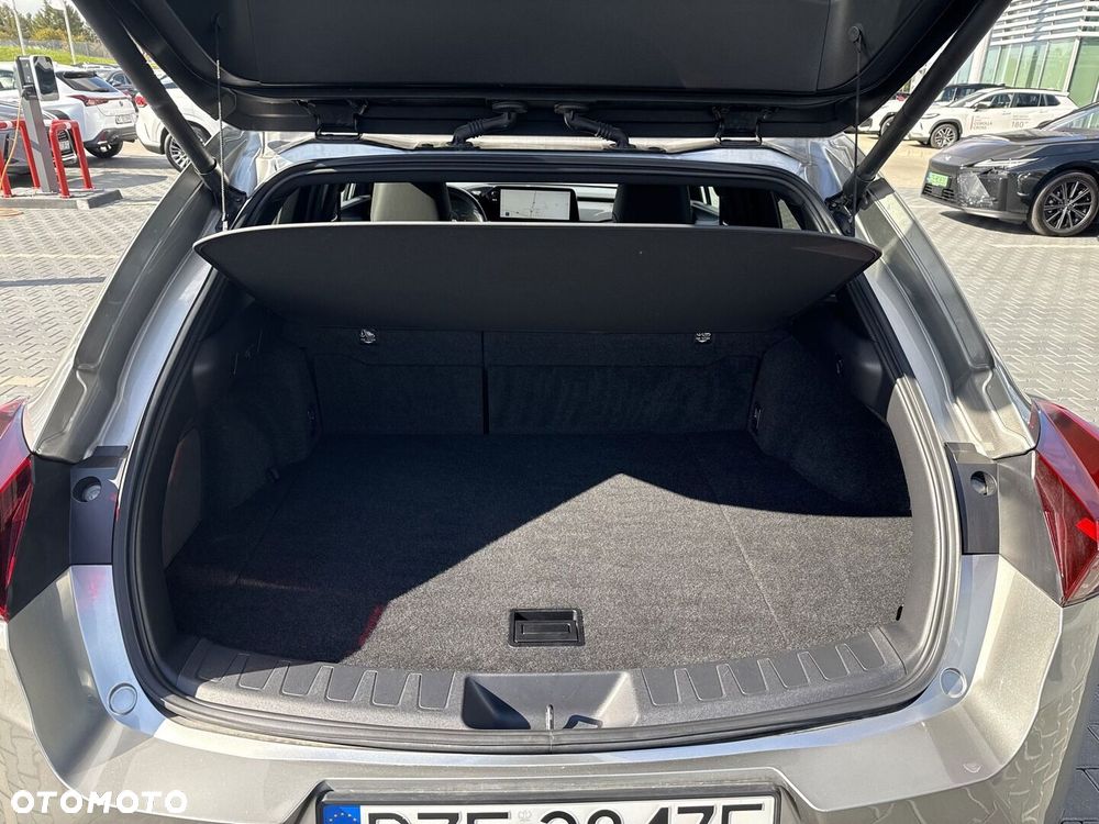 Lexus UX 250h GPF F Sport Design 2WD - 10
