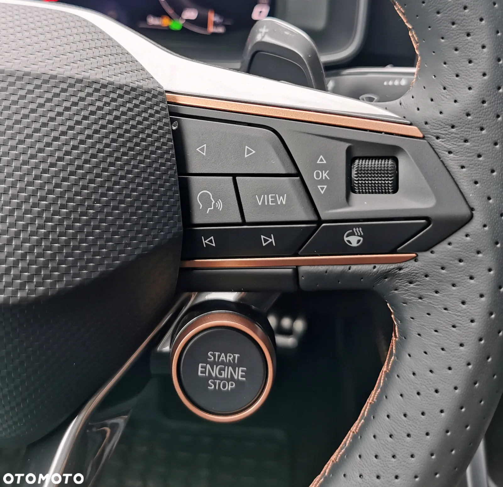 Cupra Formentor 2.0 TSI 4Drive VZ DSG - 13