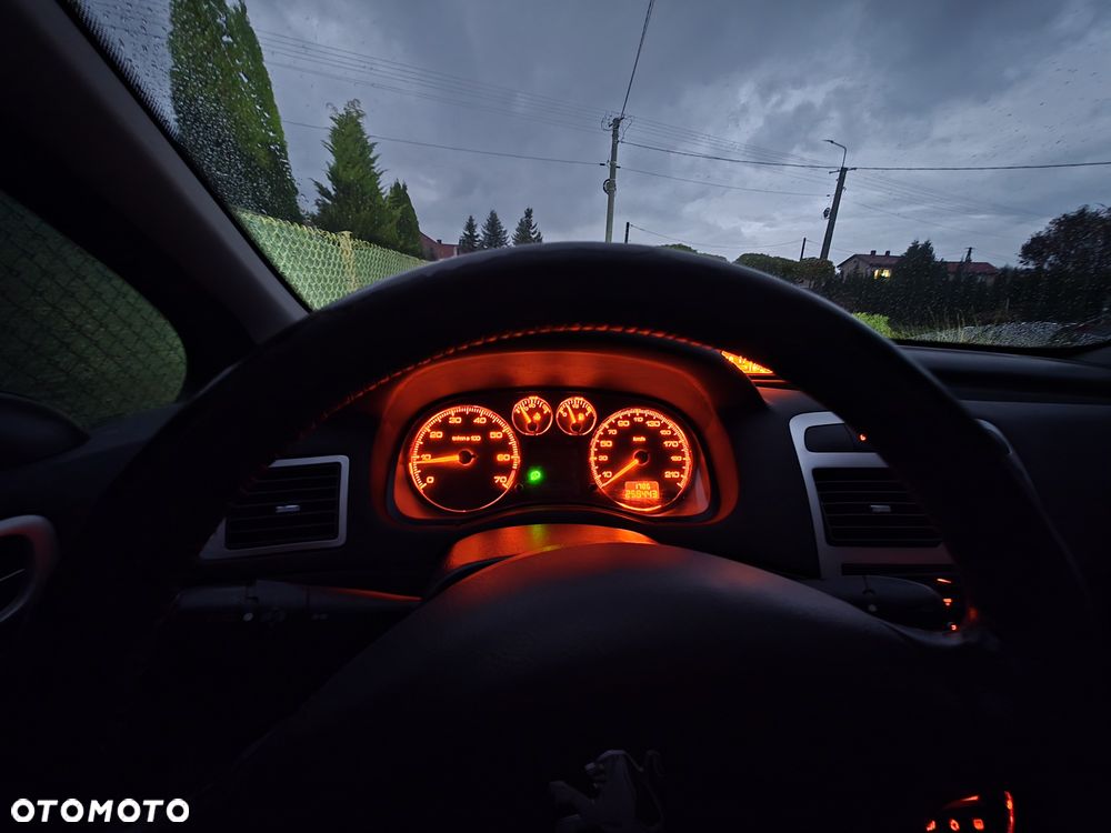 Peugeot 307 2005