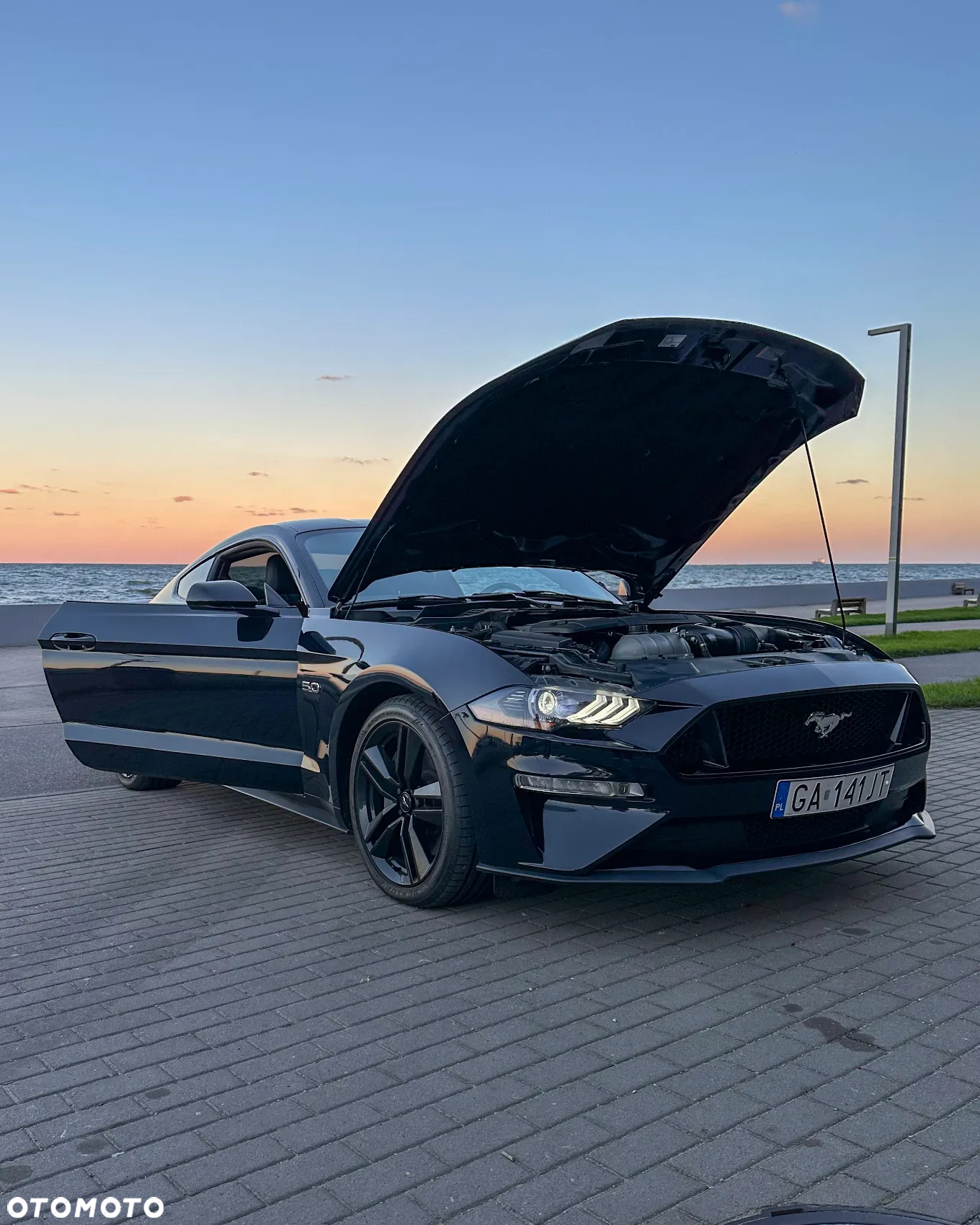 Ford Mustang Fastback 5.0 Ti-VCT V8 Dark Horse - 8