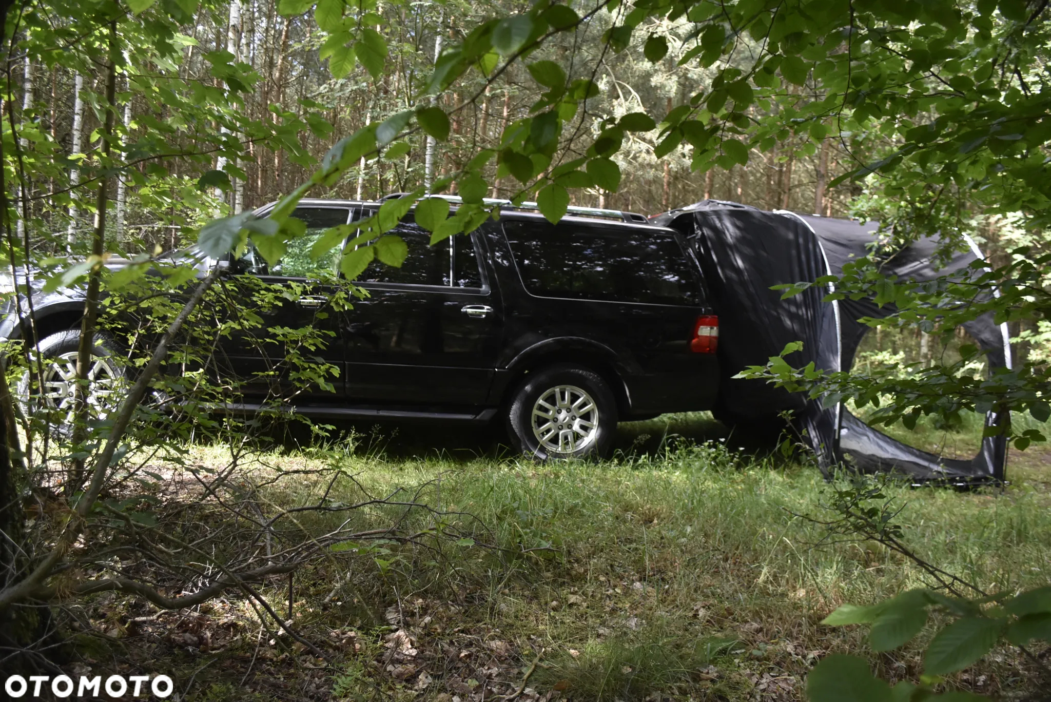 Ford Expedition 5.4 XLT 4WD - 33