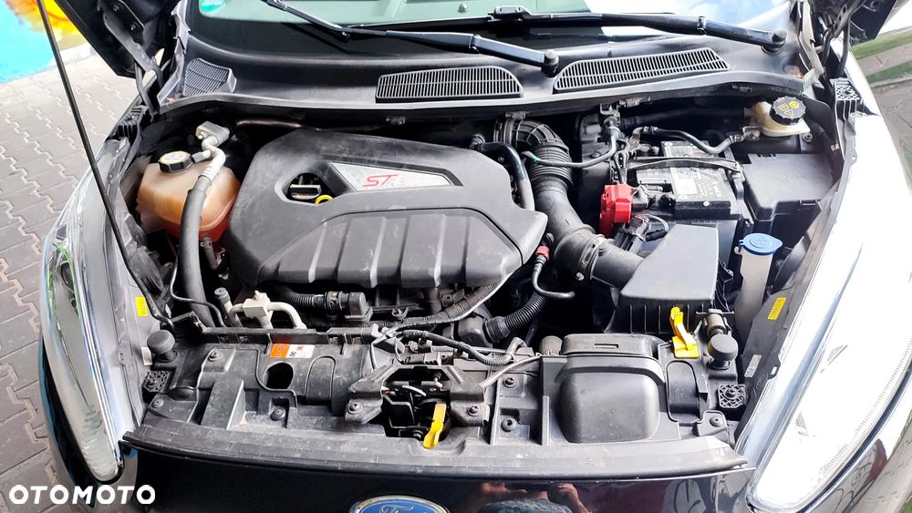 Ford Fiesta 1.6 EcoBoost ST - 30