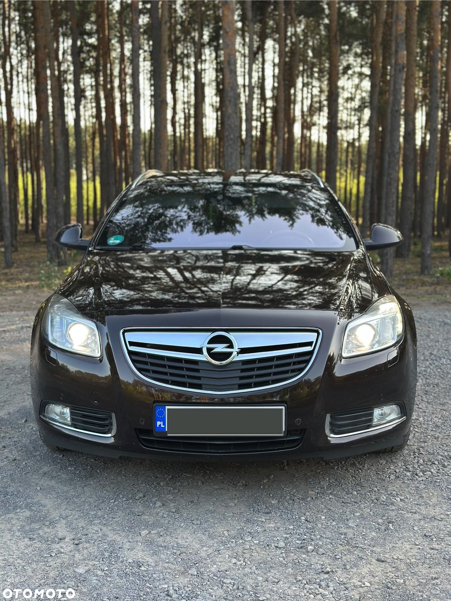 Opel Insignia - 1