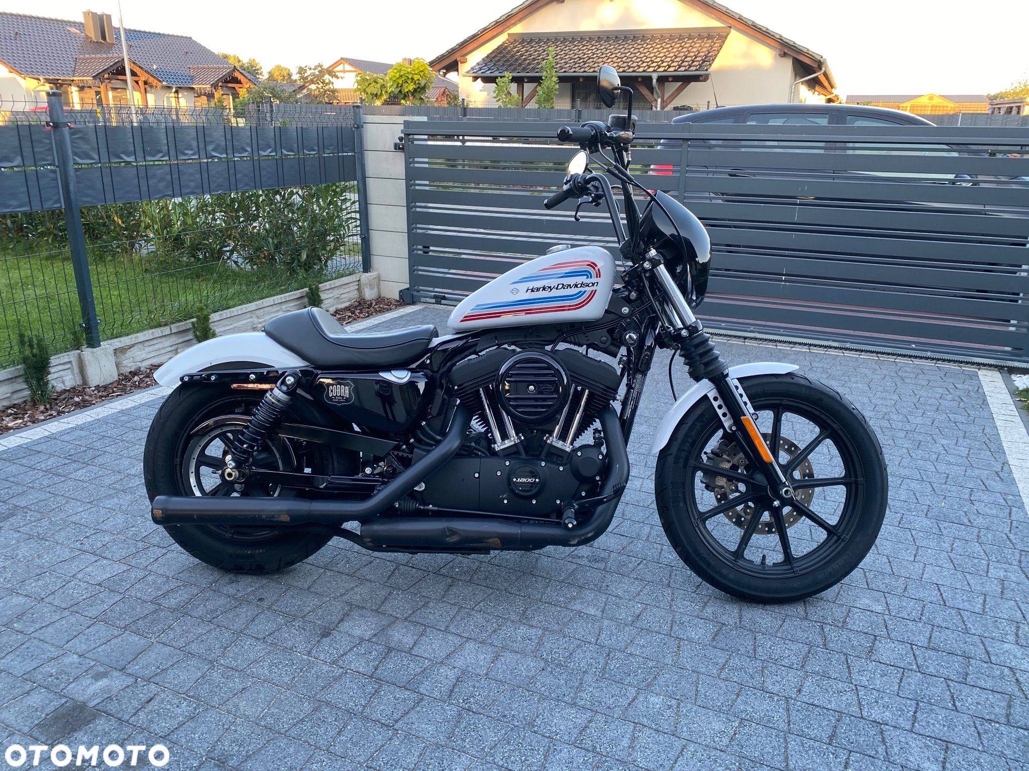 Harley-Davidson Sportster Iron 1200 - 3