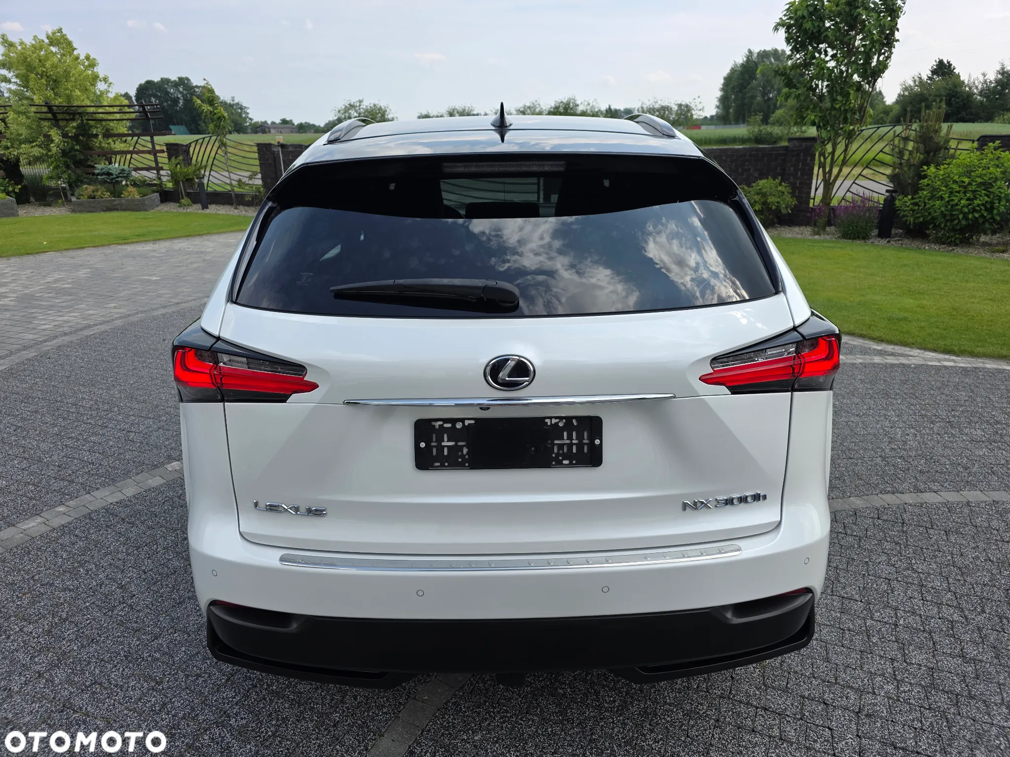 Lexus NX 300h E-FOUR F SPORT - 17