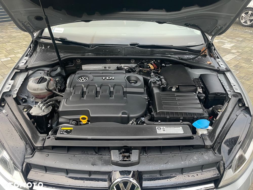 Volkswagen Golf 1.6 TDI BlueMotion Technology Cup - 24