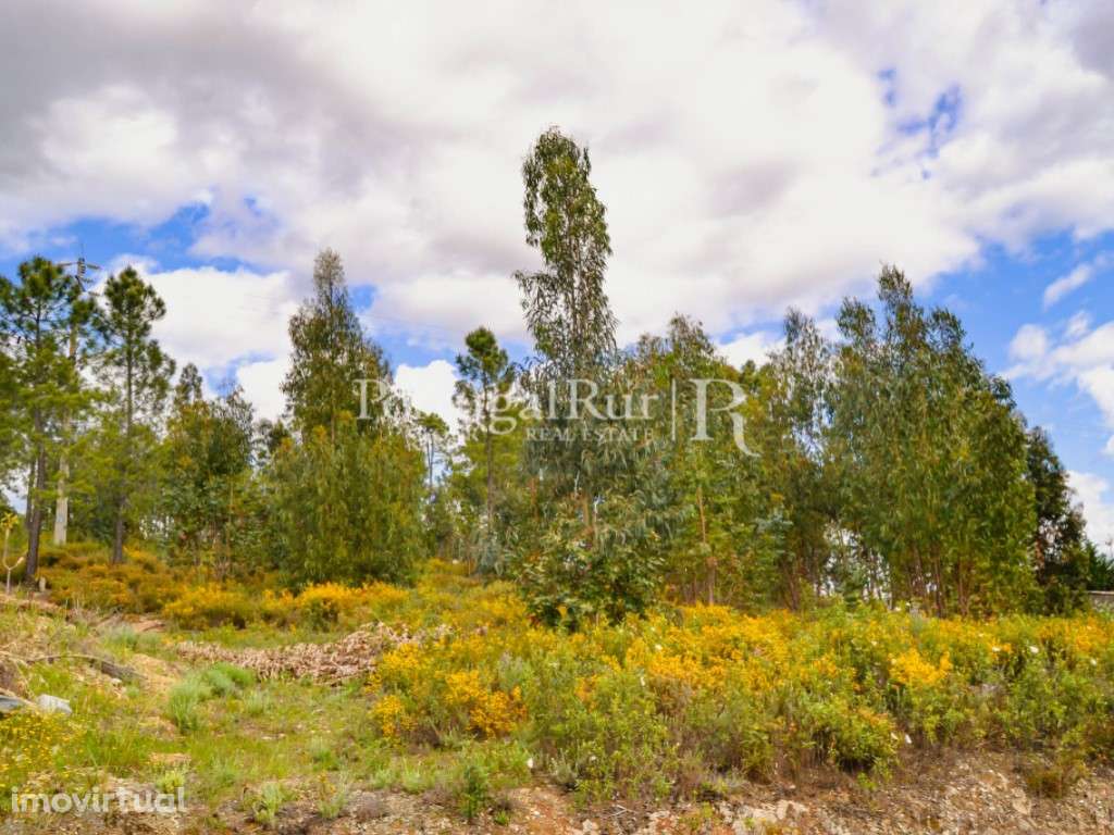 Terreno para construção de Moradia em Proença-a-Nova - Grande imagem: 4/19