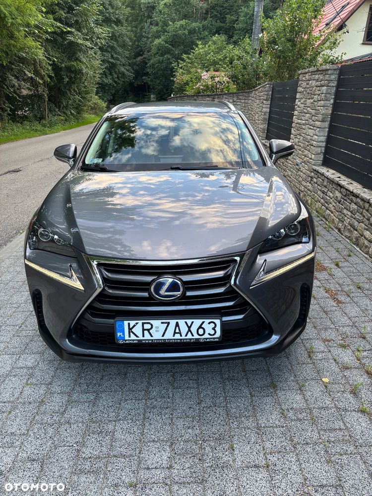 Lexus NX 300h Elegance 2WD - 7