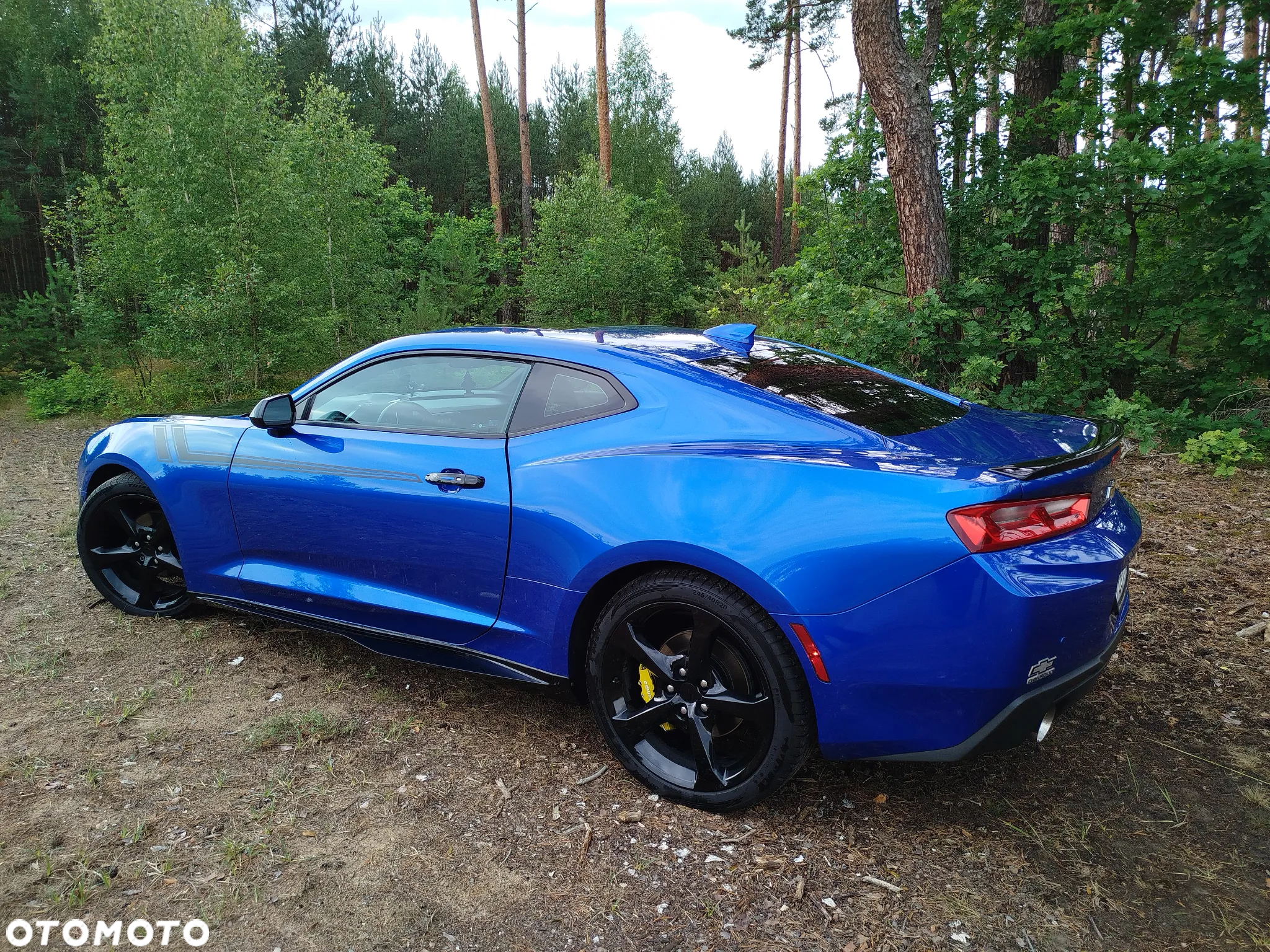 Chevrolet Camaro Coupe 2.0 - 12