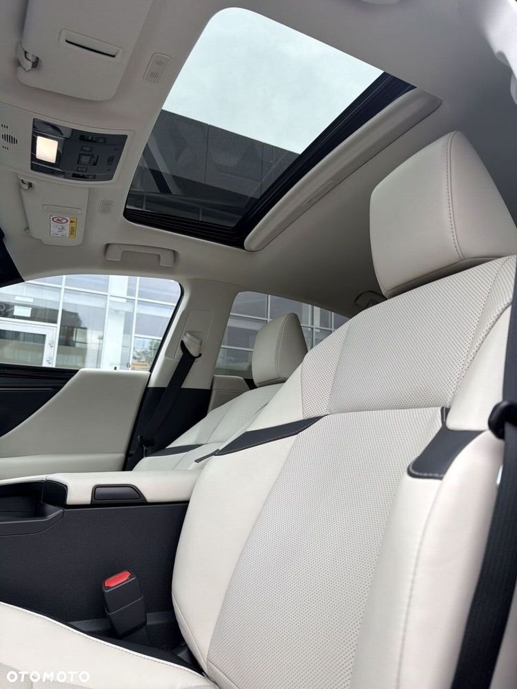 Lexus ES 300h F Sport Design - 12
