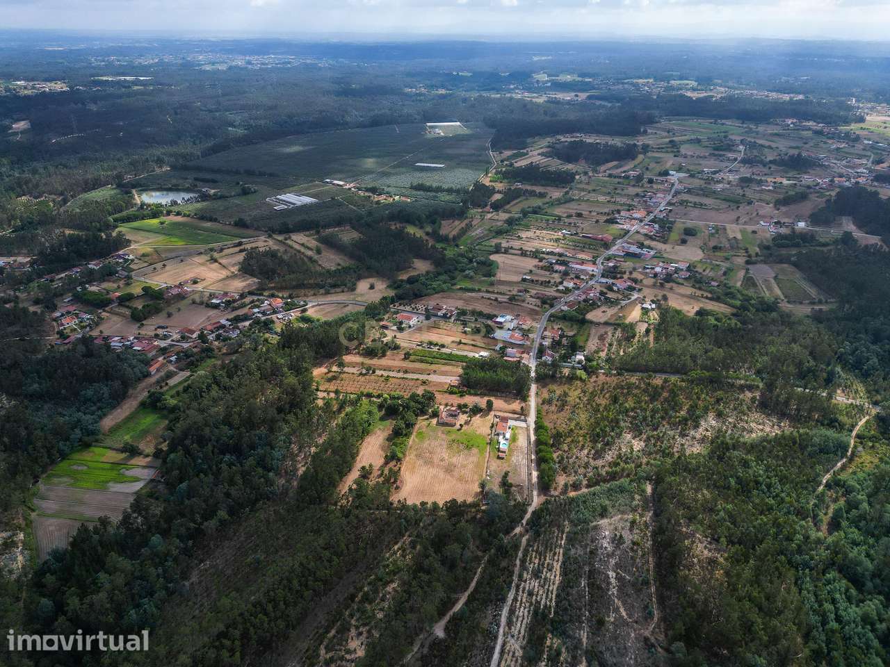 Pinhal com 1.425 m² em Brejal – Cabeça Alta, Seixo de Gatões, Montemor - Grande imagem: 4/13