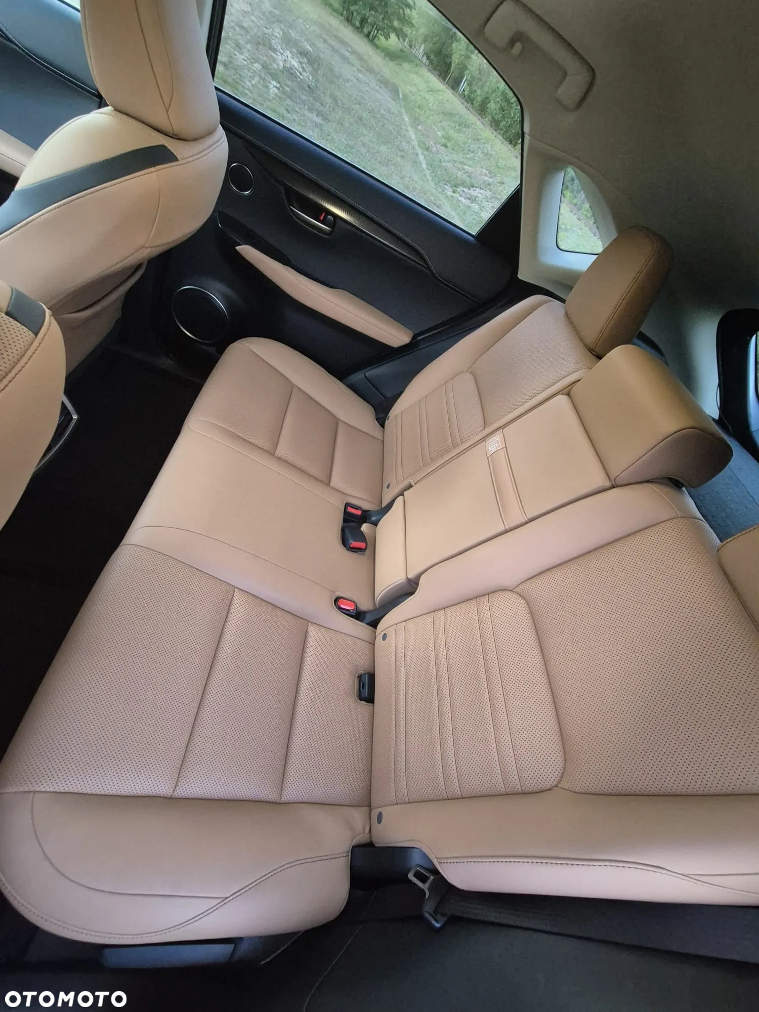 Lexus NX 200t Elite 2WD - 5
