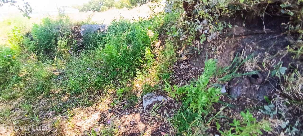 Terreno Rústico – Palmela - Grande imagem: 3/20